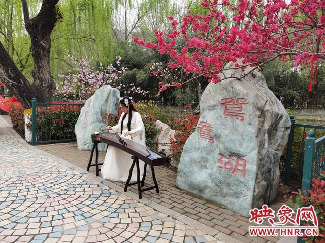 郑州市动物园桃花文化节开幕 身穿汉服可免票入园