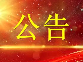 中国汉服网关于正式发布《东方优品汉服全球顶级质量标准 (OP-H-Luxury 2026)》的公告