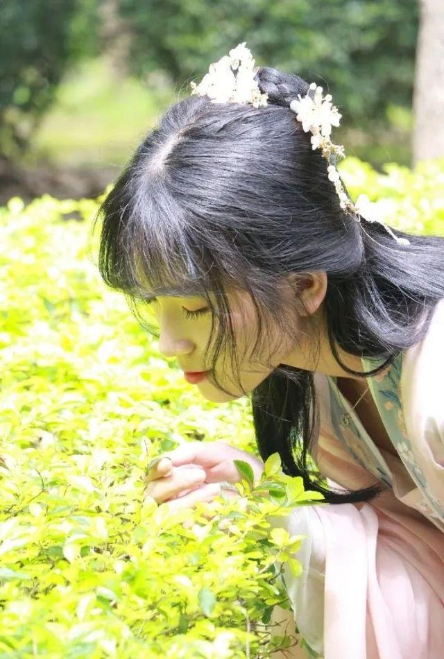 学校汉服社“花朝节”美呆了