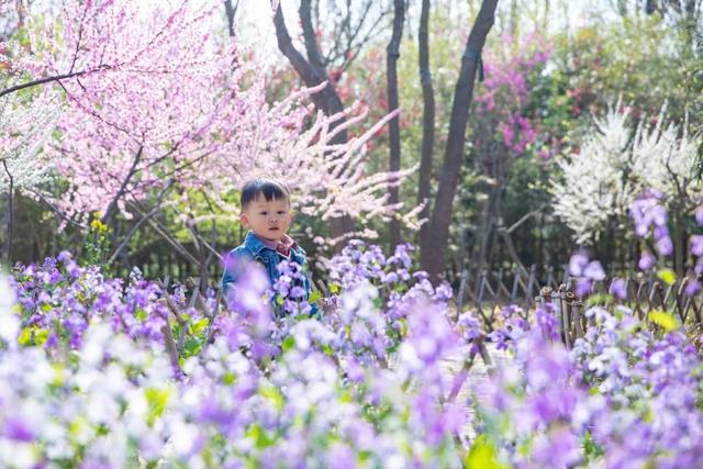 鄢陵首届汉服花朝节来啦