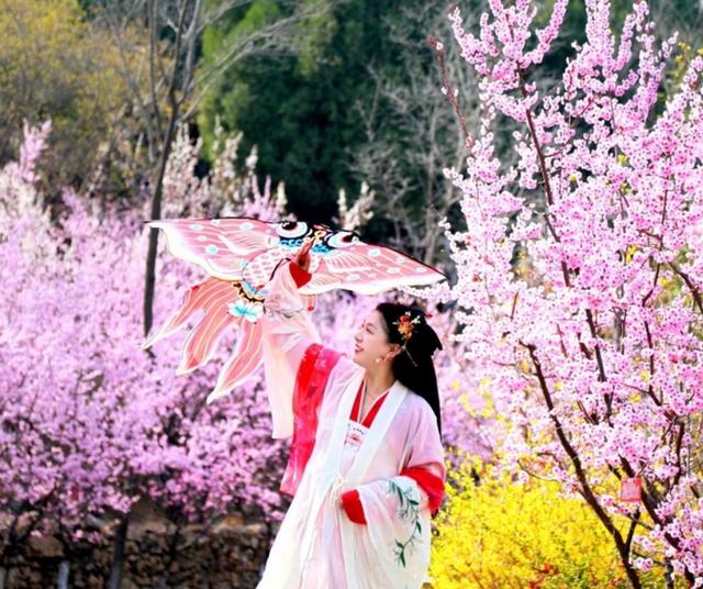 国潮正茂!从汉服看到中国传统文化之美
